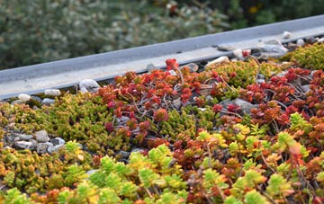 the cost of Kidburngill green roof installation